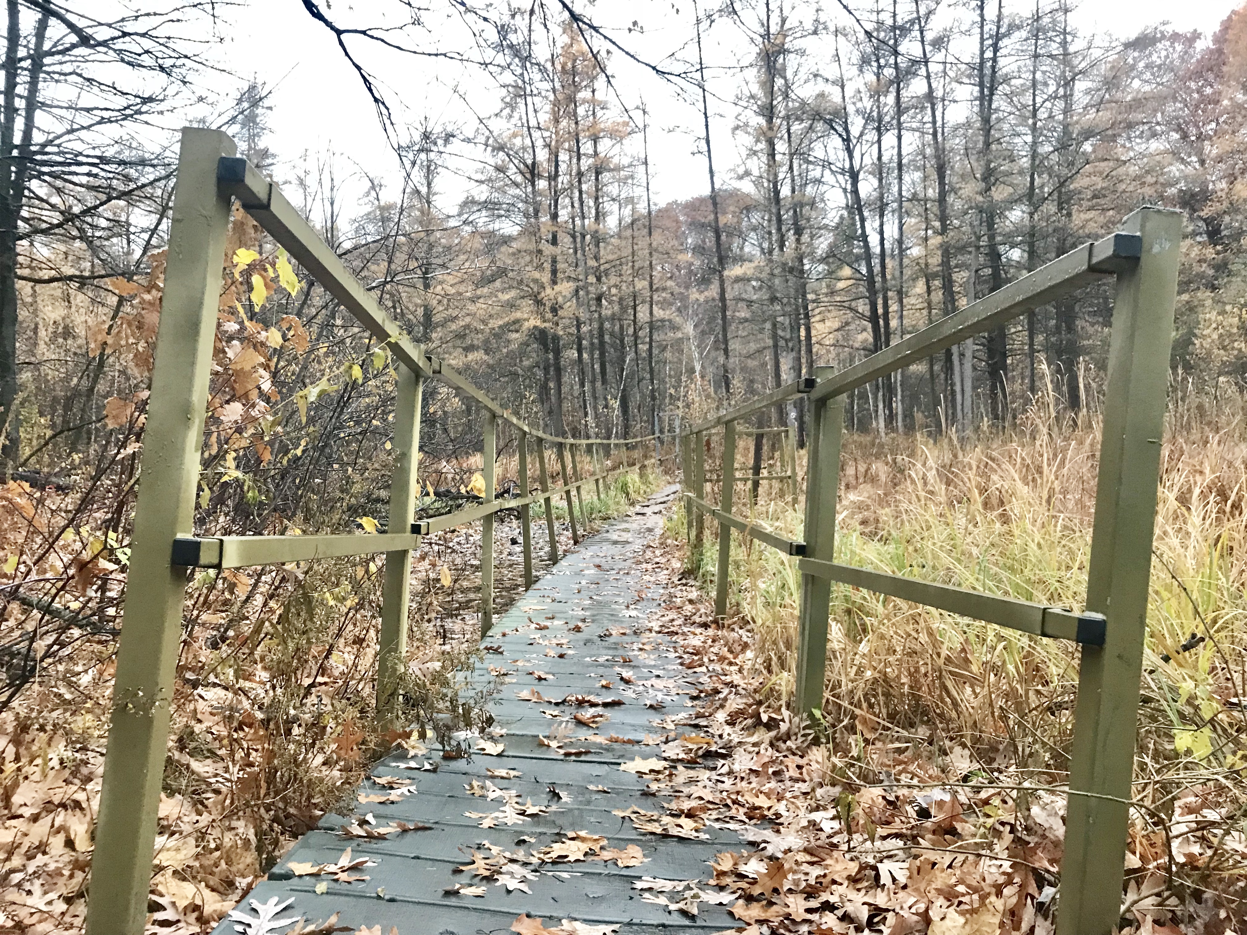 Soundscapes from three Minneapolis parks