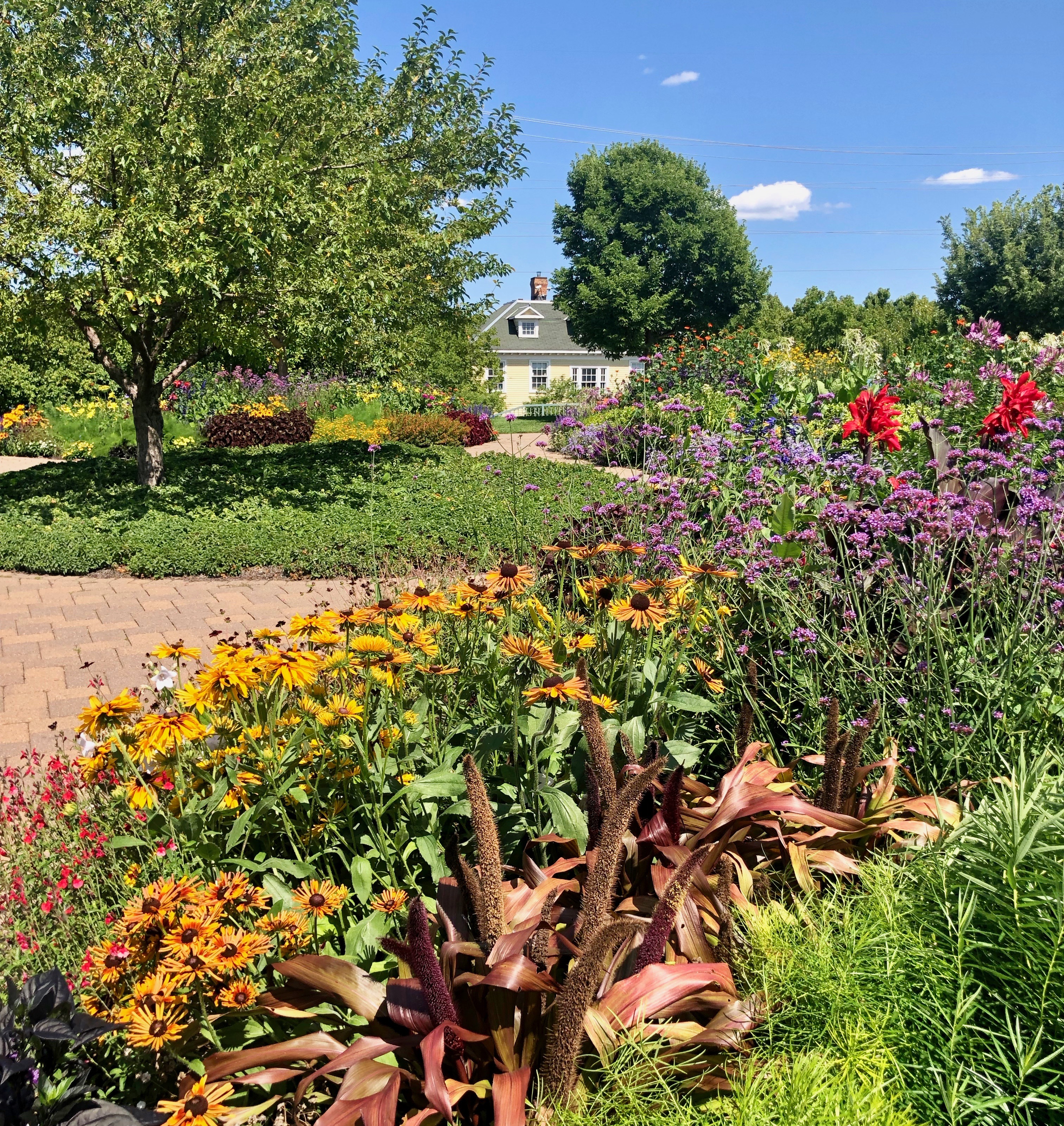 8 Pollinator Friendly Plants At Longfellow Gardens Minneapolis