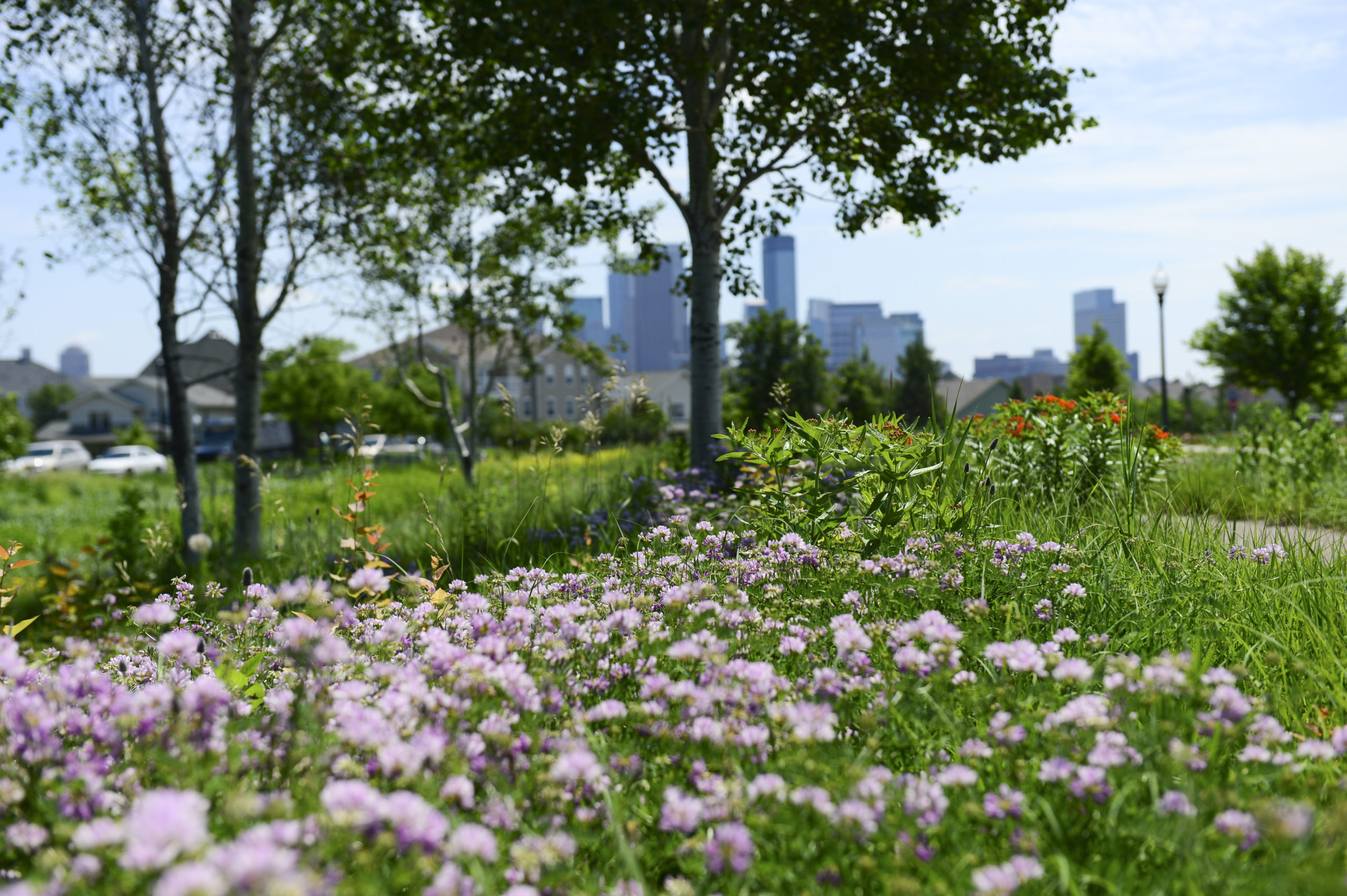 Three Ways Minneapolis Parks are Promoting Pollinator Friendly Environments