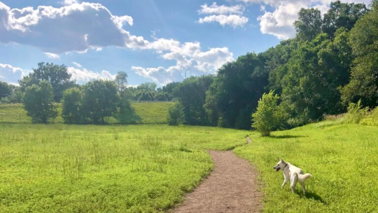 8 Minneapolis Parks loved by our Staff!