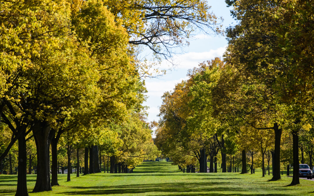 Minneapolis Parks Foundation Welcomes Miluska Novota, Randy Randolph, Charles Rucker, Donovan Walsh, Todd Western, and Craig Wilson to its Board of Directors