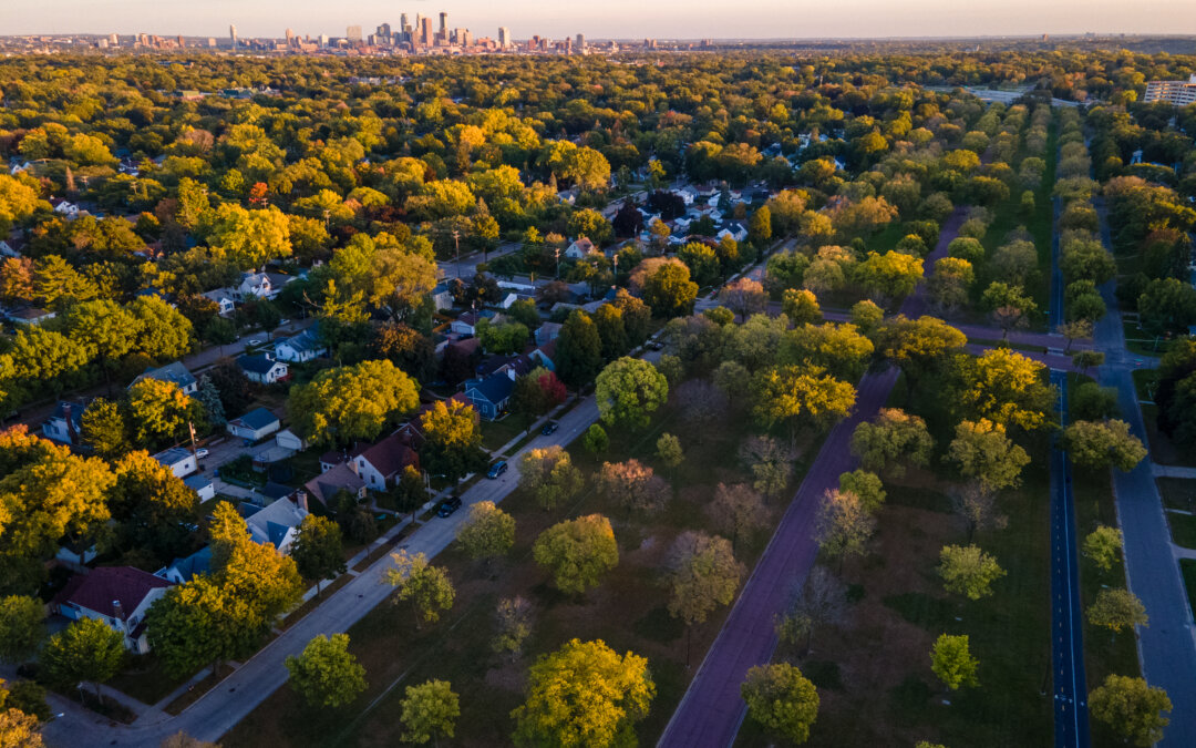 Protecting the Tree Canopy–and Homeowners, Too 