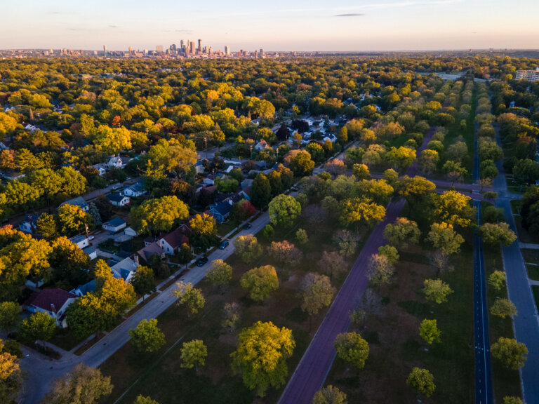 Protecting the Tree Canopy–and Homeowners, Too 