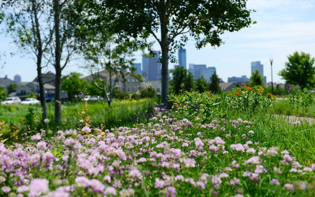 A New Leader for the Minneapolis Parks Foundation